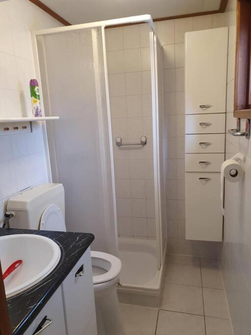 Cozy Chalet For 4 Veluwe Putten Ngoại thất bức ảnh